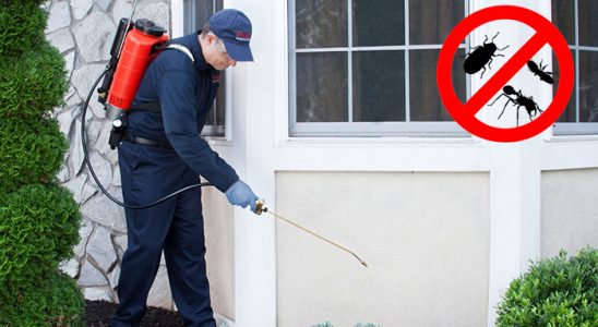 İmranlı Kemirgen İlaçlama böcek ilaçlama ve haşere kontrolü — ilaclama-tr.com